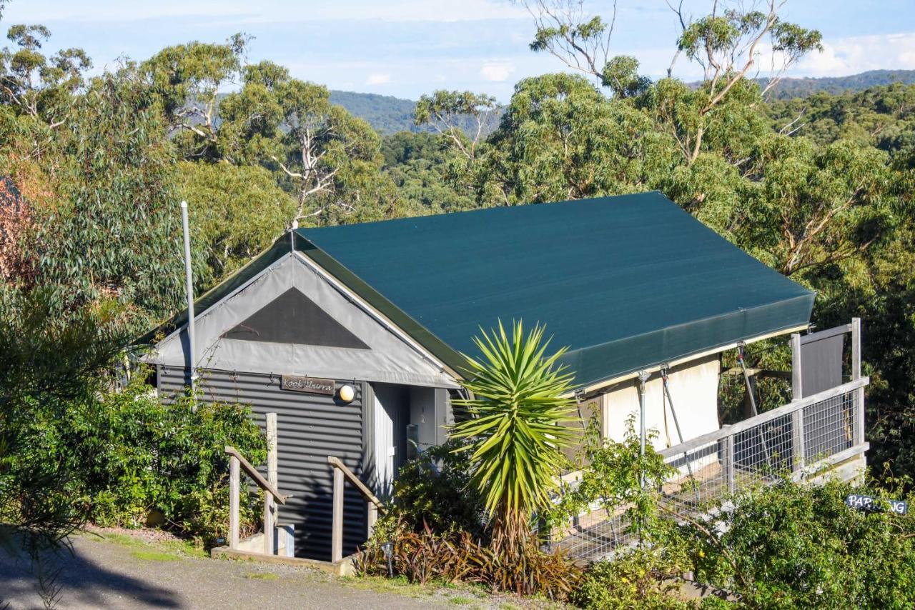 Lorne Bush House Cottages & Eco Retreats Buitenkant foto