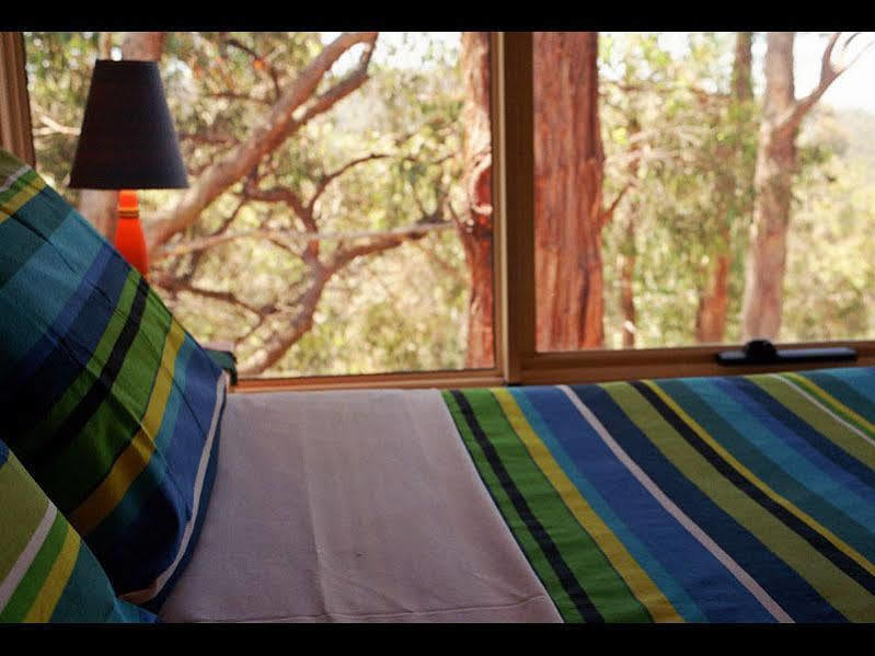Lorne Bush House Cottages & Eco Retreats Buitenkant foto